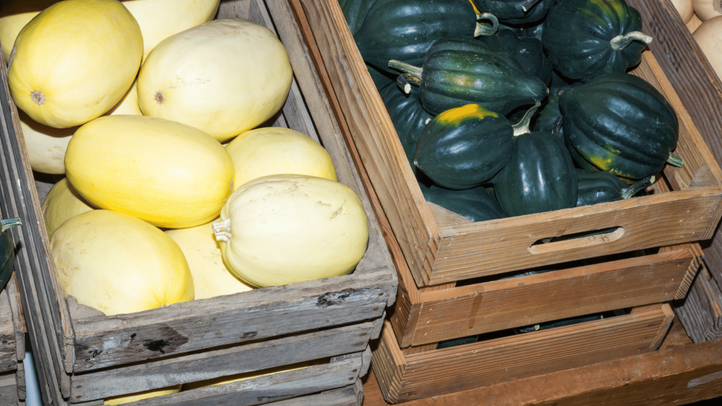 how to store squash