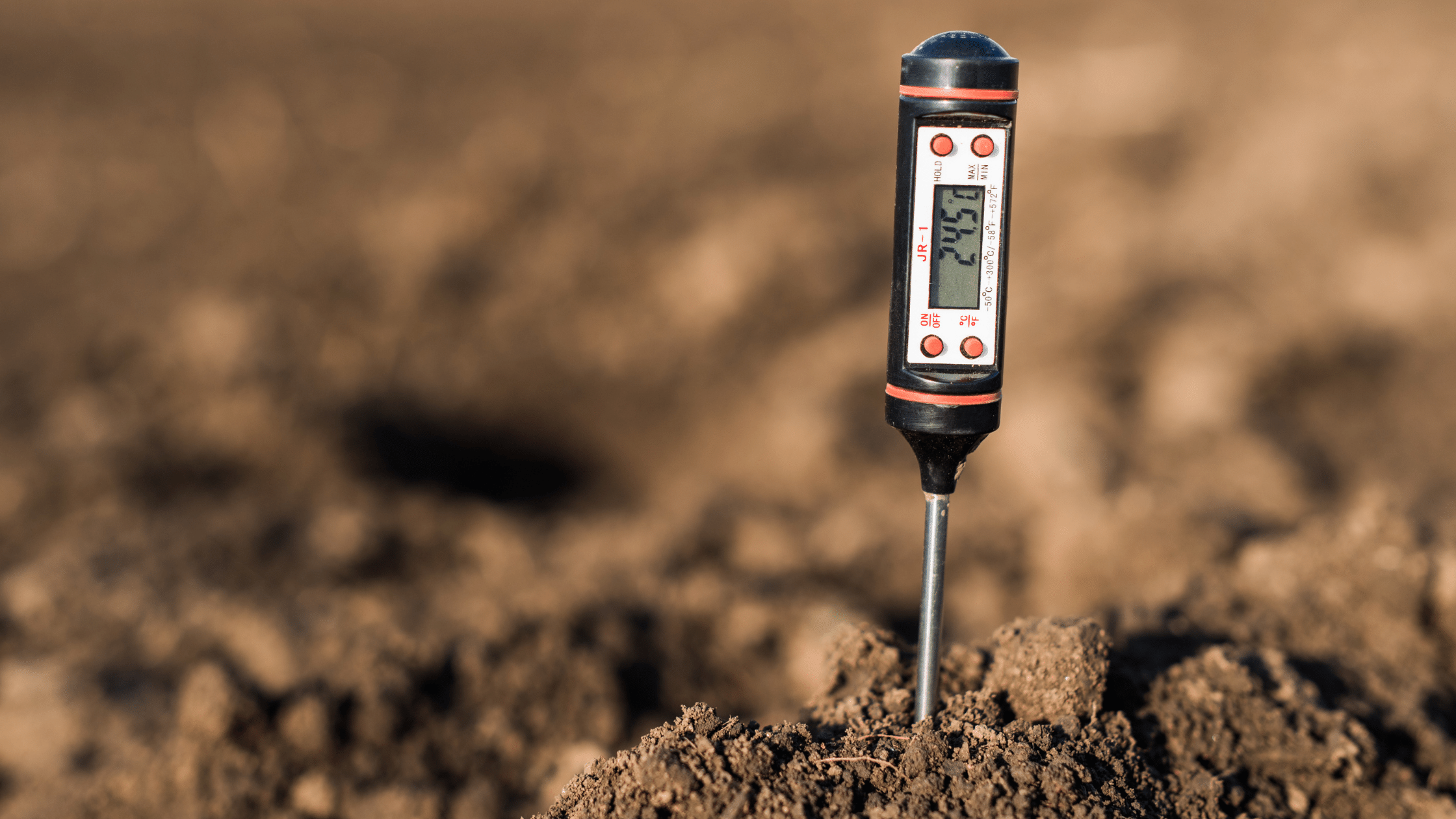 How To Test Soil pH
